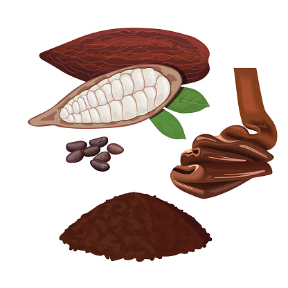 Produits transformés TRANSCAO-CI
