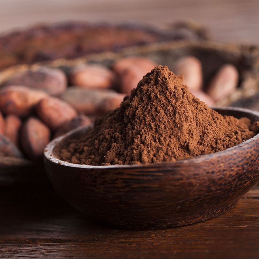 Poudre de cacao TRANSCAO-CI