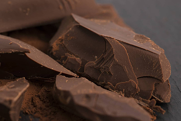 Tourteau de cacao TRANSCAO-CI
